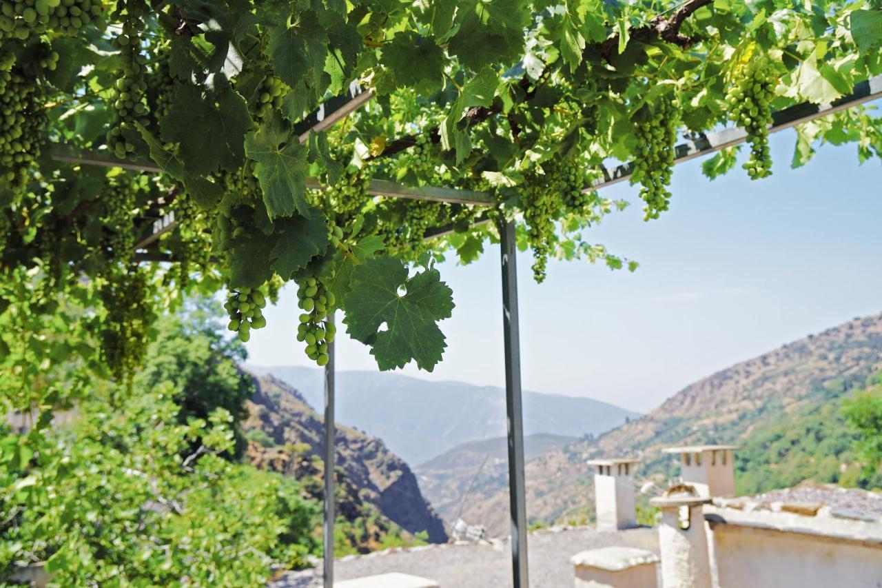 Casa Rural Vata 1 Y 2 Pampaneira Alpujarra Экстерьер фото